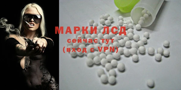 a pvp Аркадак