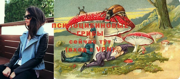 a pvp Аркадак